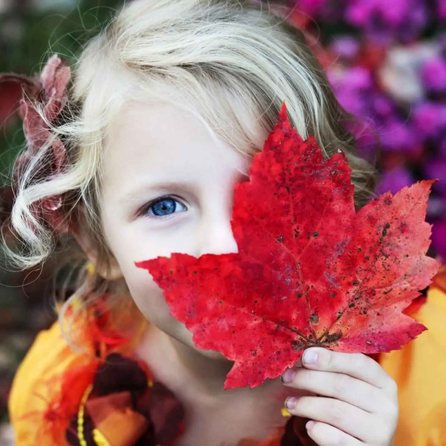 Ein Mädchen hält ein rotes Blatt nah an ihr Gesicht