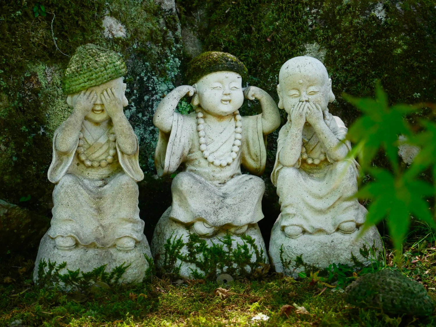 Buddha-Statuen im Wald